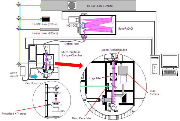 PL Mapping°l(f)ϵy(tng)